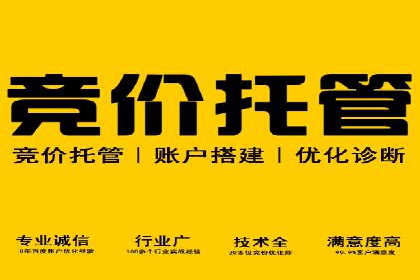 案例解读：SEM推广竞价代运营助力企业提升竞争力